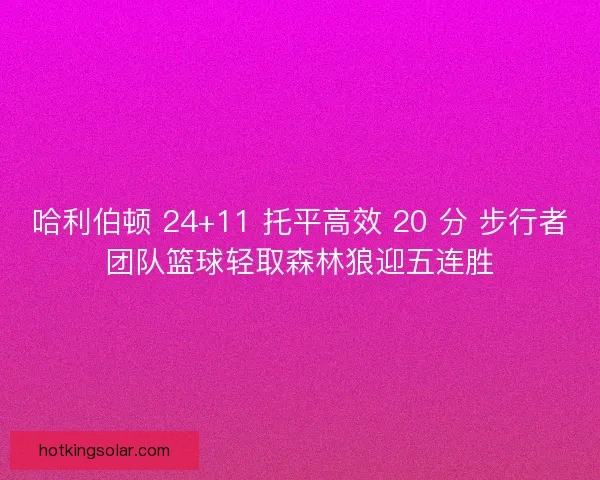 哈利伯顿 24+11 托平高效 20 分 步行者团队篮球轻取森林狼迎五连胜